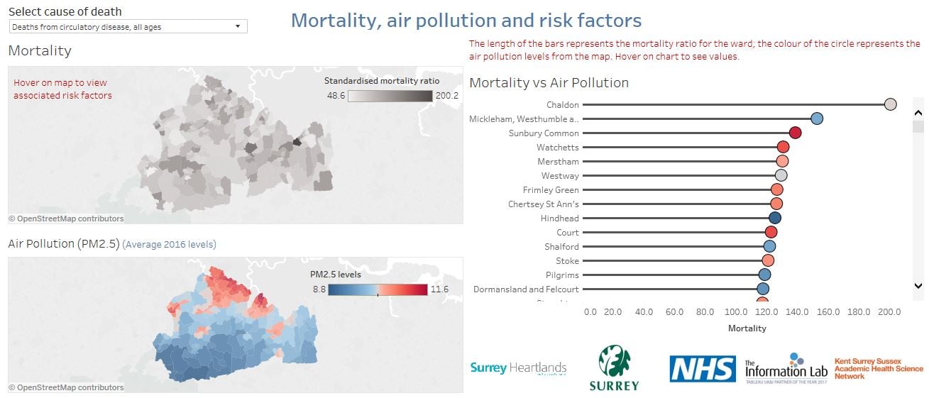 Image for Mortality, air pollution and risk factors