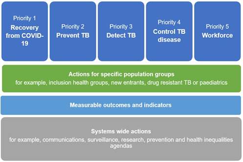 The TB action plan for England has 5 priorities: Recovery from Covid-19, prevent TB, detect TB, control TB disease, and workforce. These are underpinned by actions for specific groups (for example inclusion health groups, new entrants, drug resistant TB, paediatrics), measurable outcomes and indicators, and systems wide actions (for example communications, surveillance, research, prevention and health inequalities agendas)