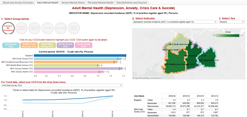 Image for Adult Mental Health