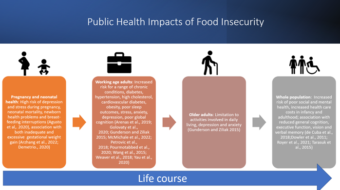 Infographic showing the public health impacts of food insecurity over the life course. Pregnancy and neonatal health - increases stress and depression during pregnancy, neonatal mortality, newborn health problems and issues with breast feeding, inadequate and excessive gestational weight gain. Working age adults- increased risk of chronic health conditions including diabetes, obesity, poor sleep, mental health issues. Older adults - limitations to day to day activities, depression and anxiety. Whole population - poor social and mental health, increased healthcare costs, reduced general cognition, executive function, vision and verbal memory