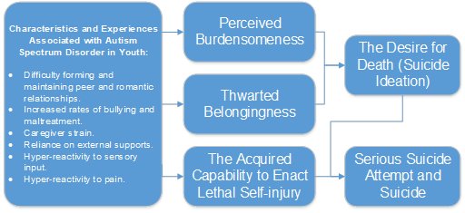 This figure shows the Joiner Model of Understanding Suicide Risk in Autistic Adults