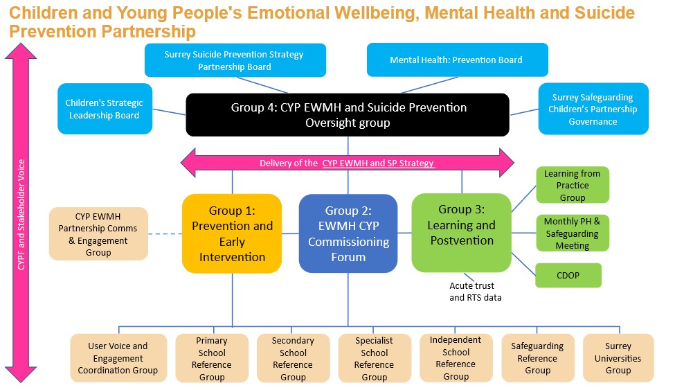 Details of the Children and Young People's Emotional Wellbeing, Mental Health and Suicide Prevention Partnership. The Partnership is overseen by the EWMH and Suicide Prevention Oversight Group and this feeds into 4 boards: the Children's Strategic Leadership Board, the Surrey Suicide Prevention Strategy Partnership Board, the Mental Health Prevention Board, the Surrey Safeguarding Children's Partnership Governance. 3 groups sit below the Oversight Group. Group 1: Prevention and Early Intervention, Group 2: EWMH CYP Commissioning Forum, Group 3: Learning and Postvention. These 3 groups oversee delivery of the strategy. Group 1 also links to a Partnership Comms and Enagagement group. Group 3 also links to a earning from practice group, monthly PH and safeguarding meeting and CDOP. 7 reference groups sit below the 3 groups which cover all aspects of education.