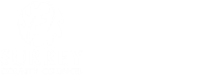 Surrey-i