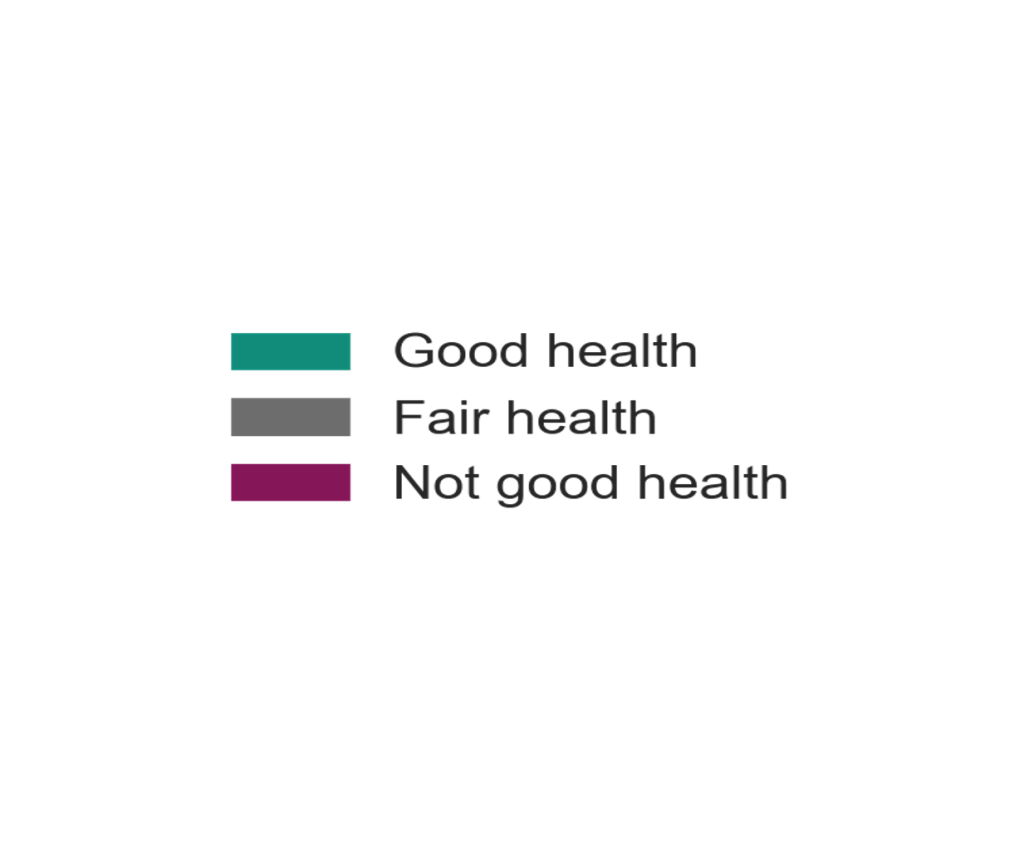 Key to the above graph. Green represents good health, grey represents fair health, and purple represents not good health.