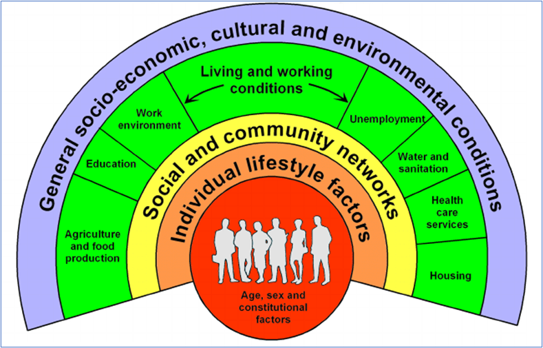 This figure shows the Dahlgren & Whitehead Model of the Health Determinants