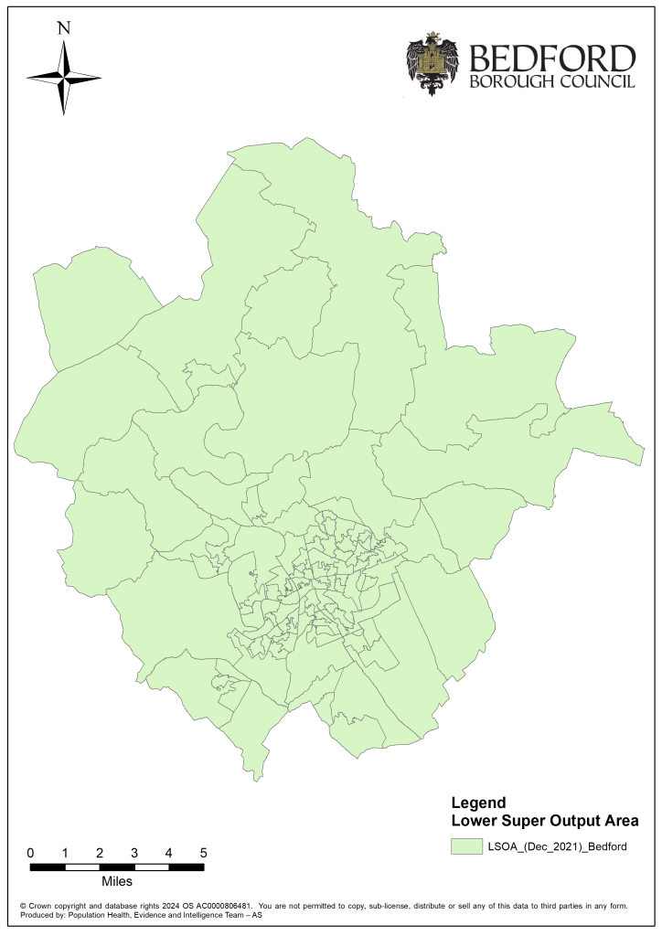 An image of the lower super output area map for Bedford Borough which can be downloaded below.
