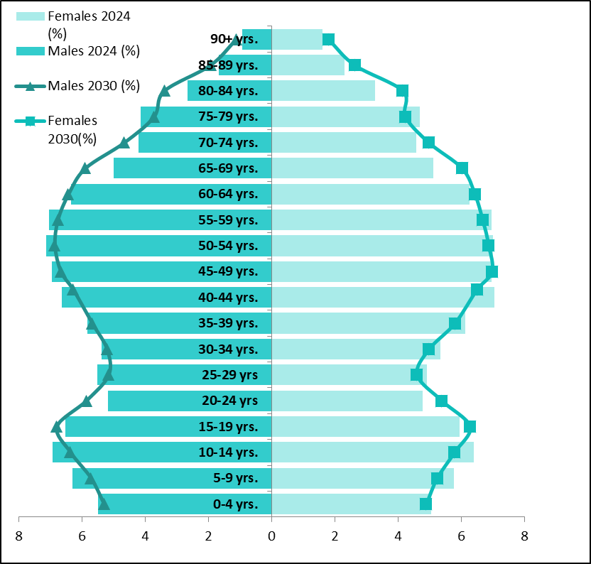 Population pyramid of current ages of Surrey population and split between male and female, plus projected population in 2030.