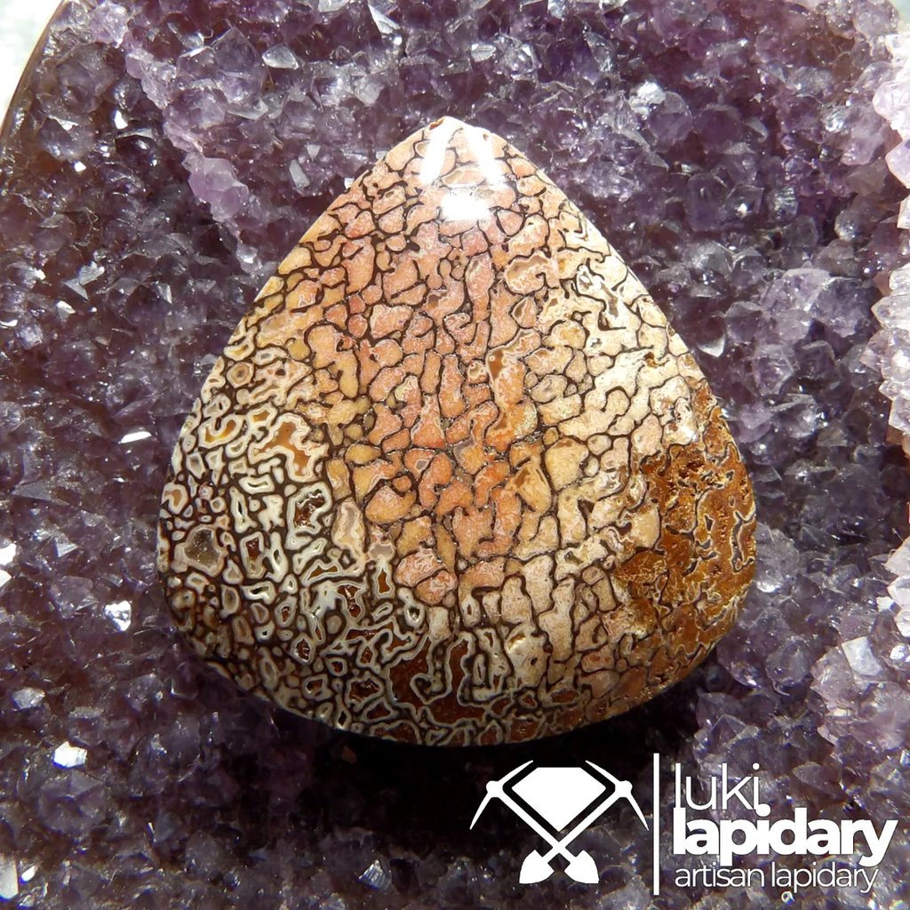 Dino Gem Bone Cabochon