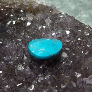 Kingman Turquoise