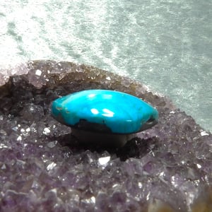 Kingman Turquoise