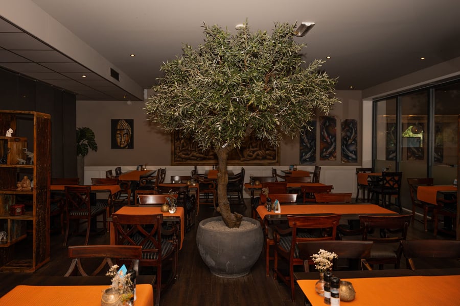 Het restaurant met olijfboom en Indonesische kunst