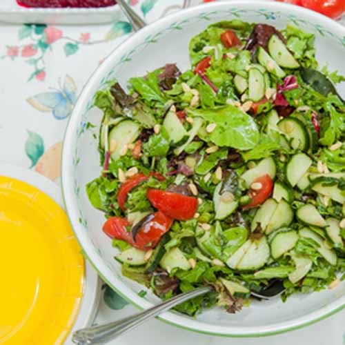 Simple (Dry) Greek Salad