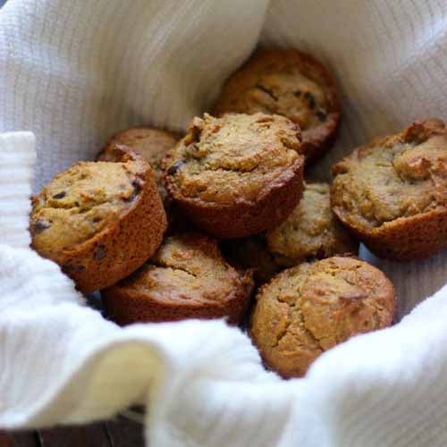 Cashew Butter Chocolate Chip Muffins