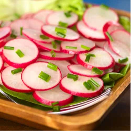 Simple Radish Salad