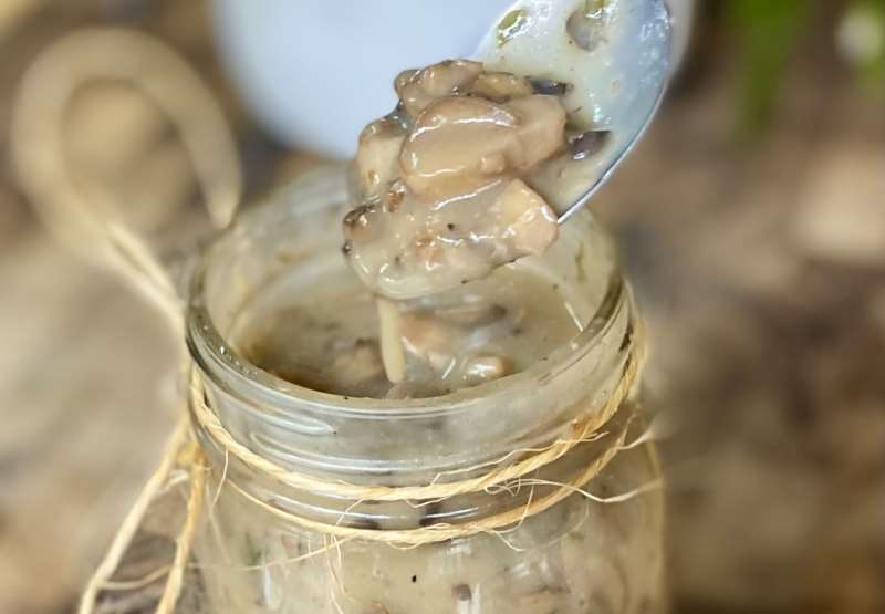 Condensed Cream of Mushroom Soup