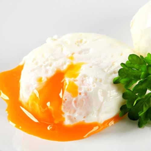Poached Eggs
