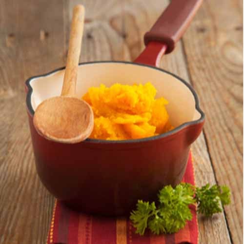 Pumpkin Puree