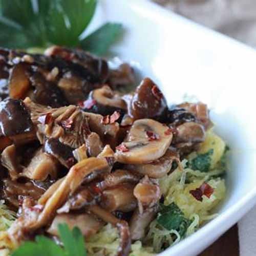Mushroom Ragout over Spaghetti Squash