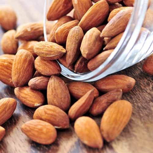 Crispy Almonds