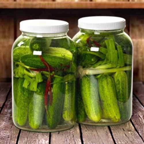 Crunchy Pickles