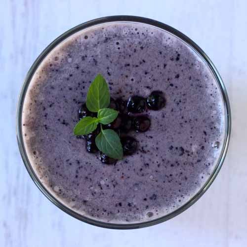 Blueberry Protein Smoothie