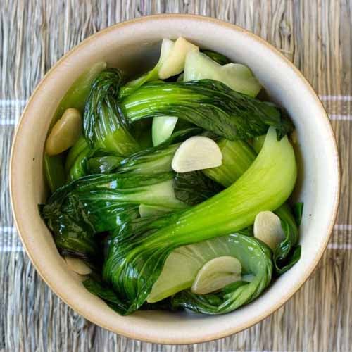 Seared Bok Choy