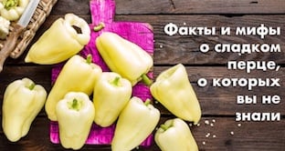 Польза и вред черники: интересные факты, о которых ты не знала. Фото 3