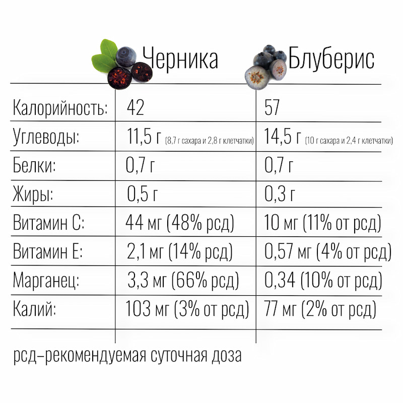 Польза и вред черники: интересные факты, о которых ты не знала