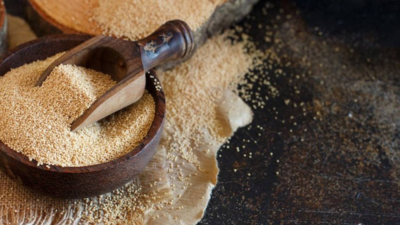 Зерновая культура с самым большим содержанием белка