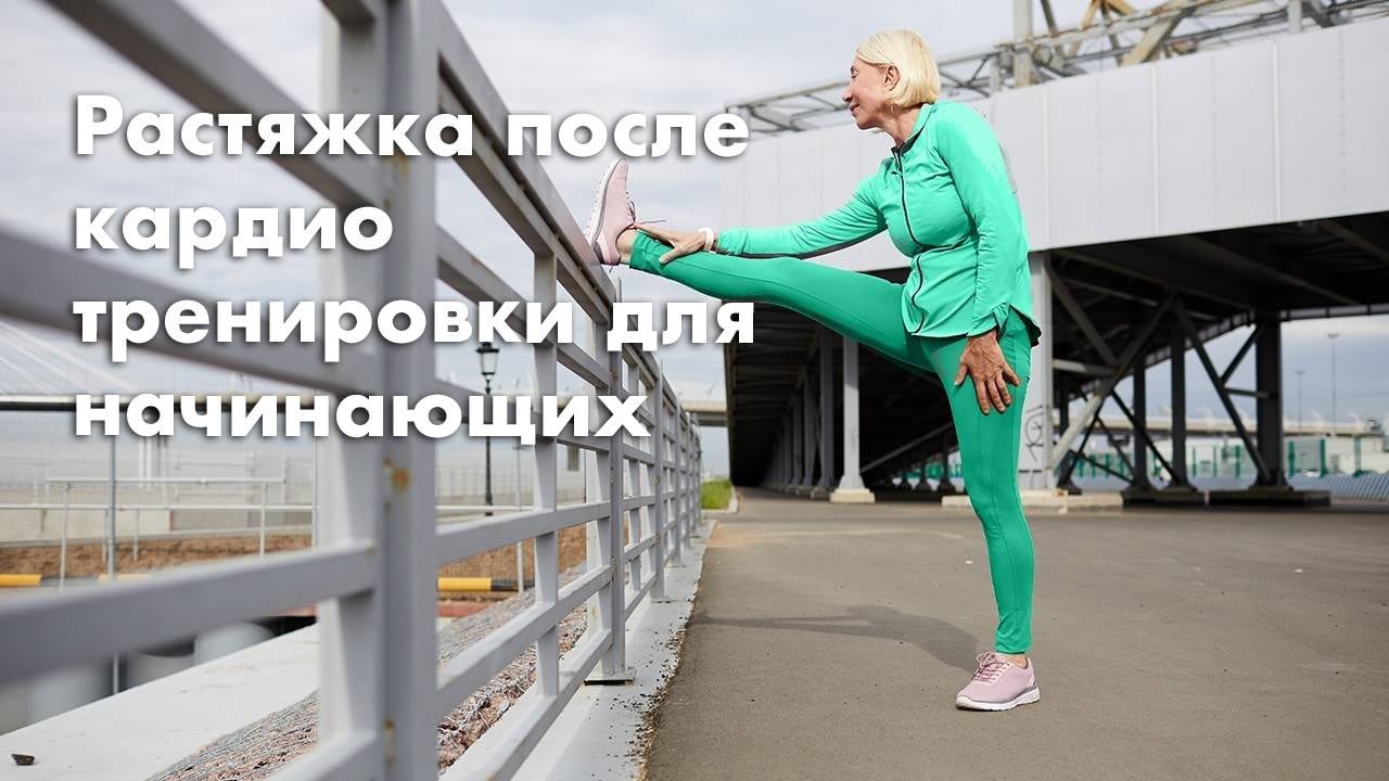 Растяжка после кардио тренировки для начинающих