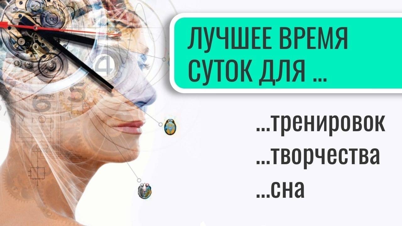 Как распределить свой день правильно исходя из нашего циркадного ритма