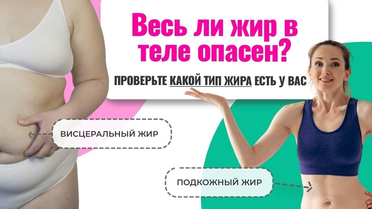 6 видов жира на животе и теле. Советы, как похудеть в проблемных зонах