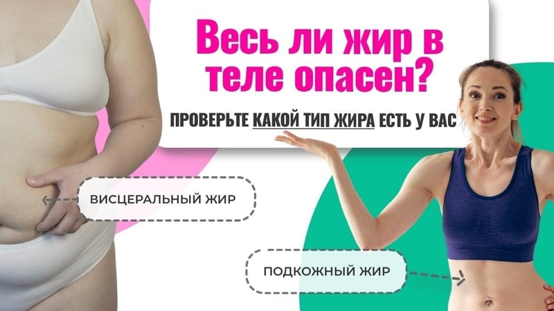 6 видов жира на животе и теле. Советы, как похудеть в проблемных зонах