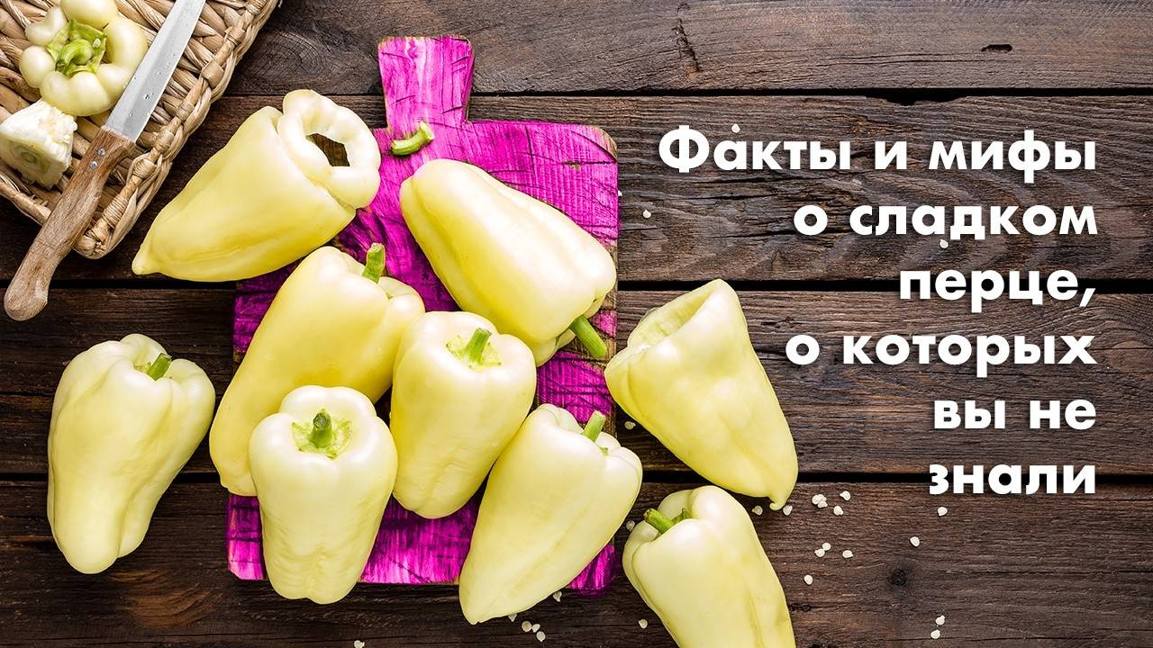 Факты и мифы о сладком перце, о которых вы не знали