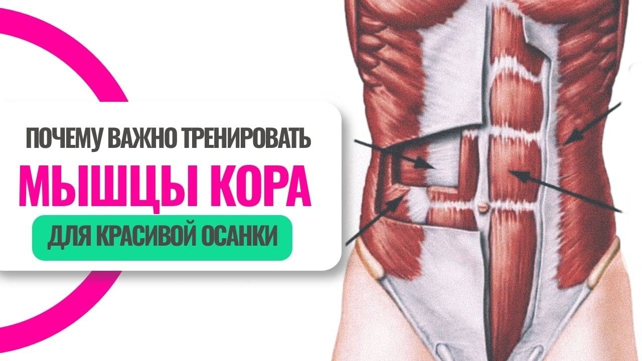 Почему важно тренировать мышцы кора для красивой осанки