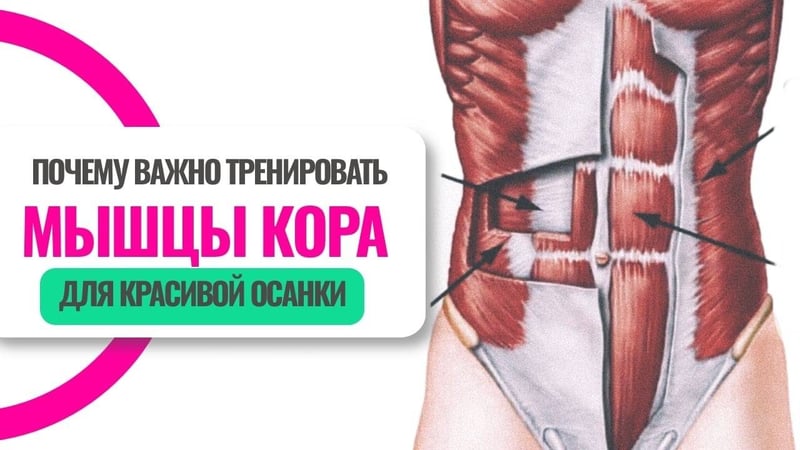 Почему важно тренировать мышцы кора для красивой осанки