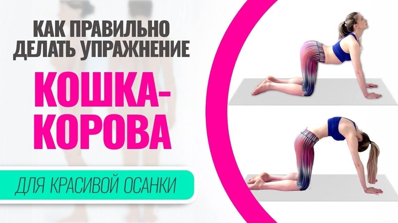 Как правильно делать упражнение «кошка-корова» для красивой осанки