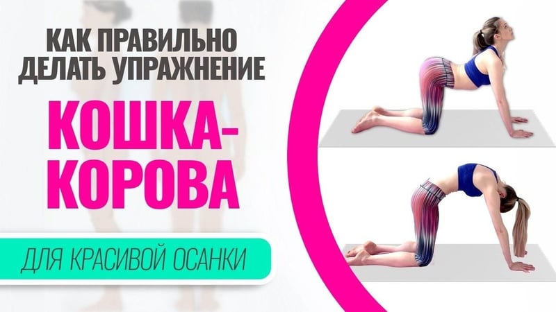 Как правильно делать упражнение «кошка-корова» для красивой осанки
