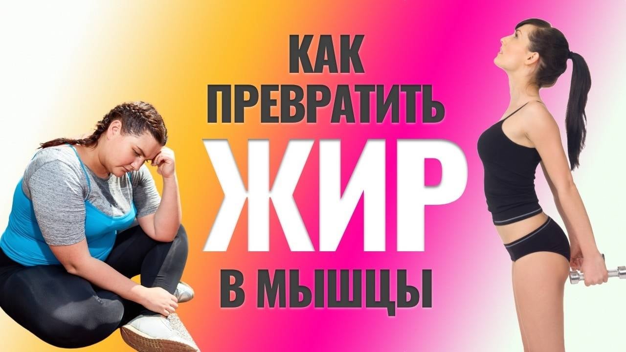 Можно ли превратить жир в мышцы