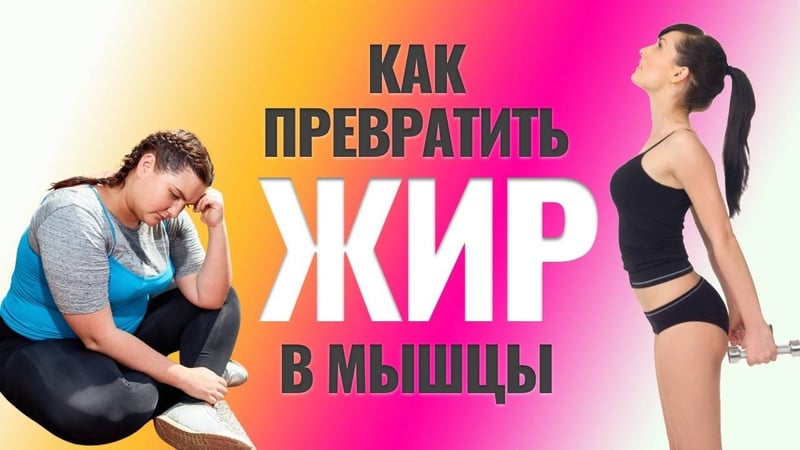 Можно ли превратить жир в мышцы
