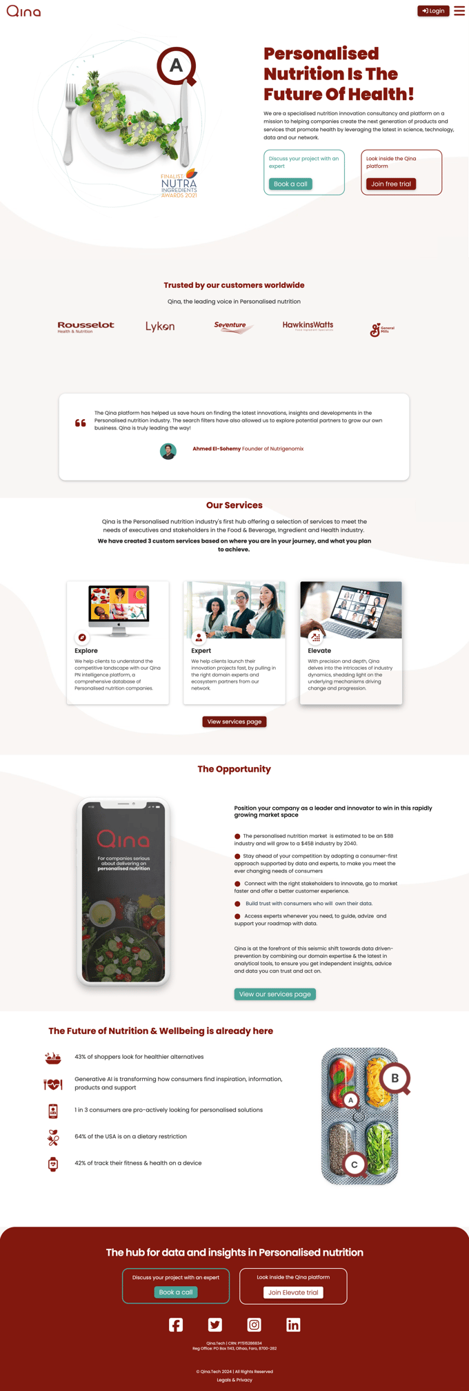 Full qina.tech desktop homepage