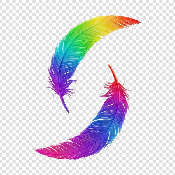 PENAS COLORIDAS DE AVES 09