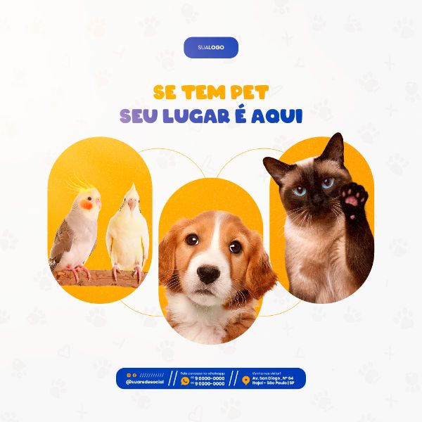 PETSHOP SOCIAL MEDIA POST FEED