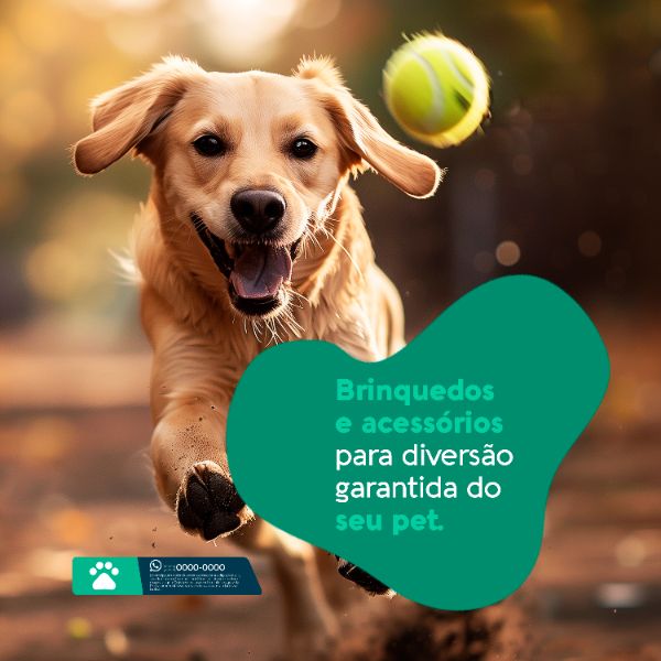 PX3 - 08  SOCIAL MEDIA CLÍNICA VETERINÁRIA_