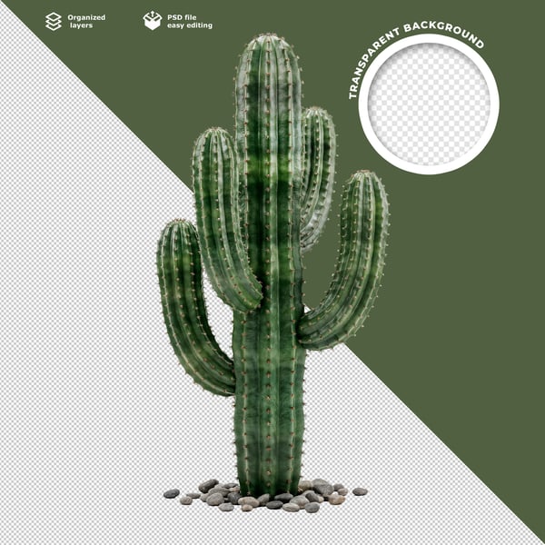 3D RENDERED SAGUARO CACTUS PLANT WITH GREEN SPINES PREMIUM ELEMENT FOR DESERT TH