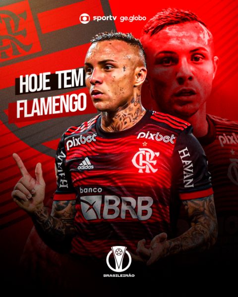 FLAMENGO CEBOLA FUTEBOL PSD