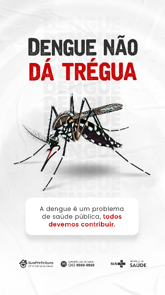 CONSCIENTIZAÇÃO CONTRA A DENGUE STORY