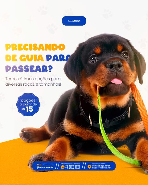 PETSHOP SOCIAL MEDIA POST FEED VERTICAL