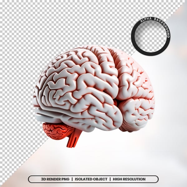 3D RENDER CÉREBRO NEUROCIÊNCIA ELEMENTO ÍCONE PSD PNG 15
