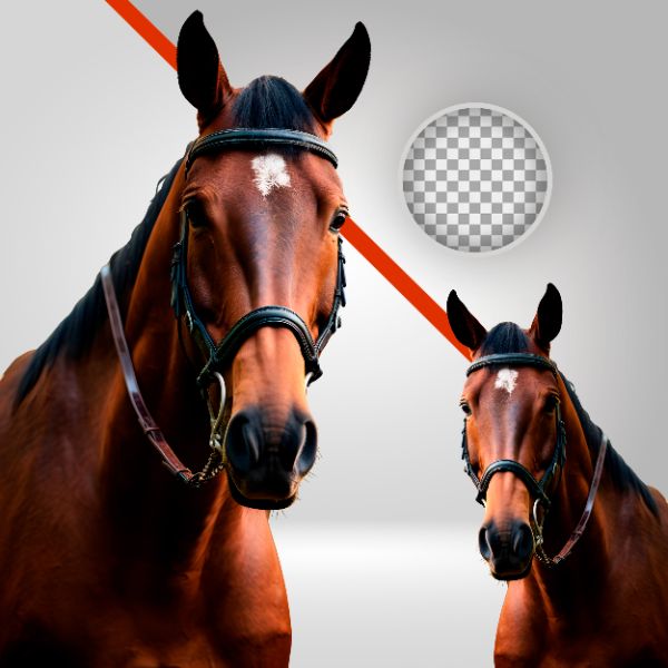 UM CAVALO VERMELHO, CAVALO DE COMPETIÇÃO, BOI NA FAIXA, VAQUEJADA, CAVALGADA, ALAZÃO PNG